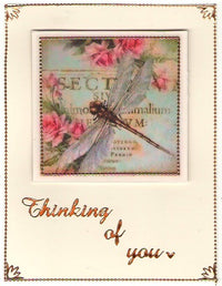 Vintage Hues Vellum Card Kit Dragonfly Squares