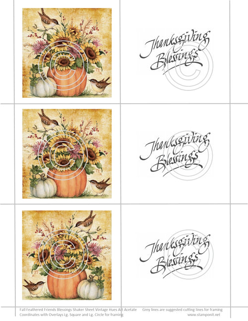 GlitterFilm & Vintage Hues Shaker Card Kit Fall Feathered Friends Blessings