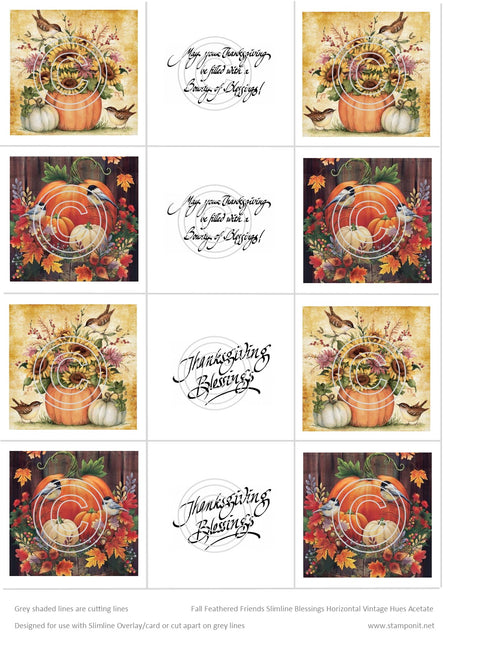 GlitterFilm & Vintage Hues 12 Slimline Card Kit Fall Feathered Friends