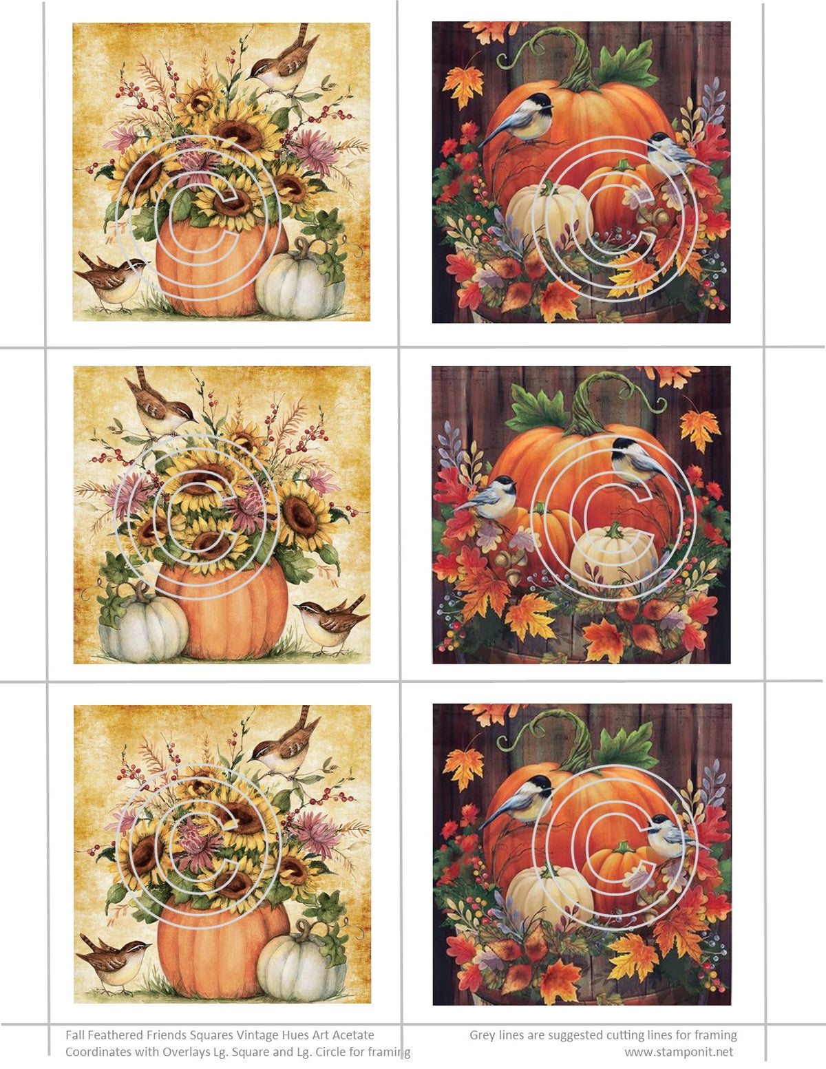 GlitterFilm & Vintage Hues 12 Card Kit Fall Feathered Friends