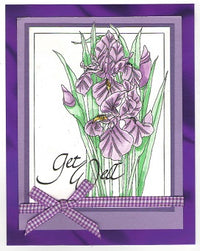 Get Well Framed Iris Stamp Kit  ES-56601KIT