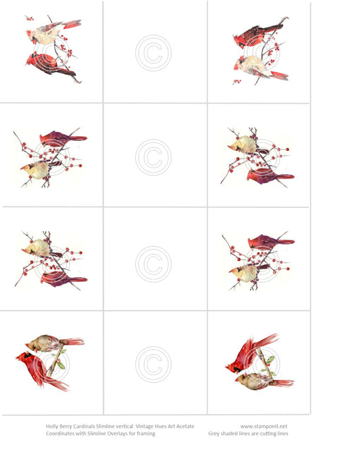 Holly Berry Cardinal Squares Slimline Vintage Hue Acetate