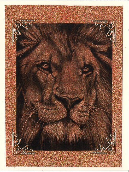 Wild Animals 1 Art Acetate