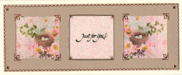 GlitterFilm & Vintage Hues 12 Slimline Card Kit Nature's Soft Shades Greetings 1