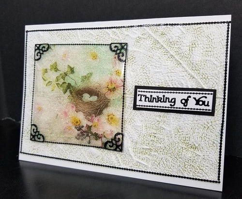 Nature's Soft Shades Squares, Vintage Hues Acetate