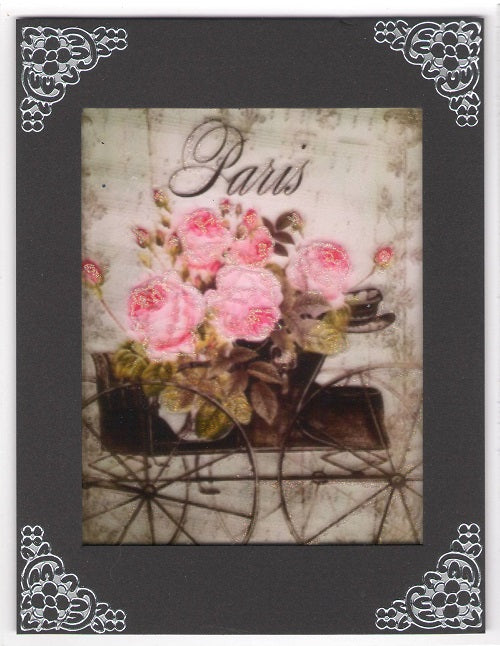 Paris 2, Vintage Hue Acetate