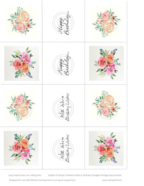 Shades of Florals 1 Slimline Birthday Wishes Vintage Hue Acetate
