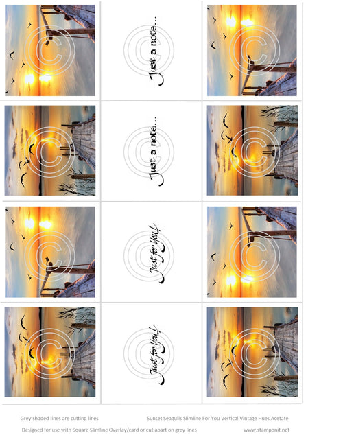 Sunset Seagulls Just a Note Slimline Vintage Hue Acetate