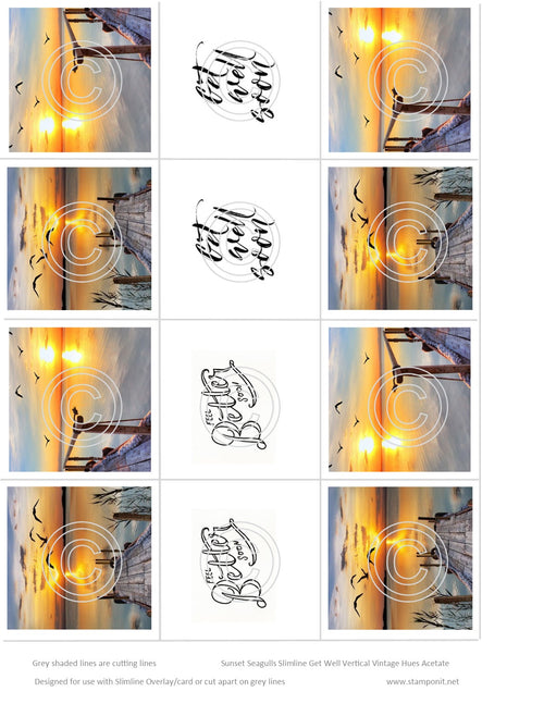 Sunset Seagulls Get Well Slimline Vintage Hues Acetates