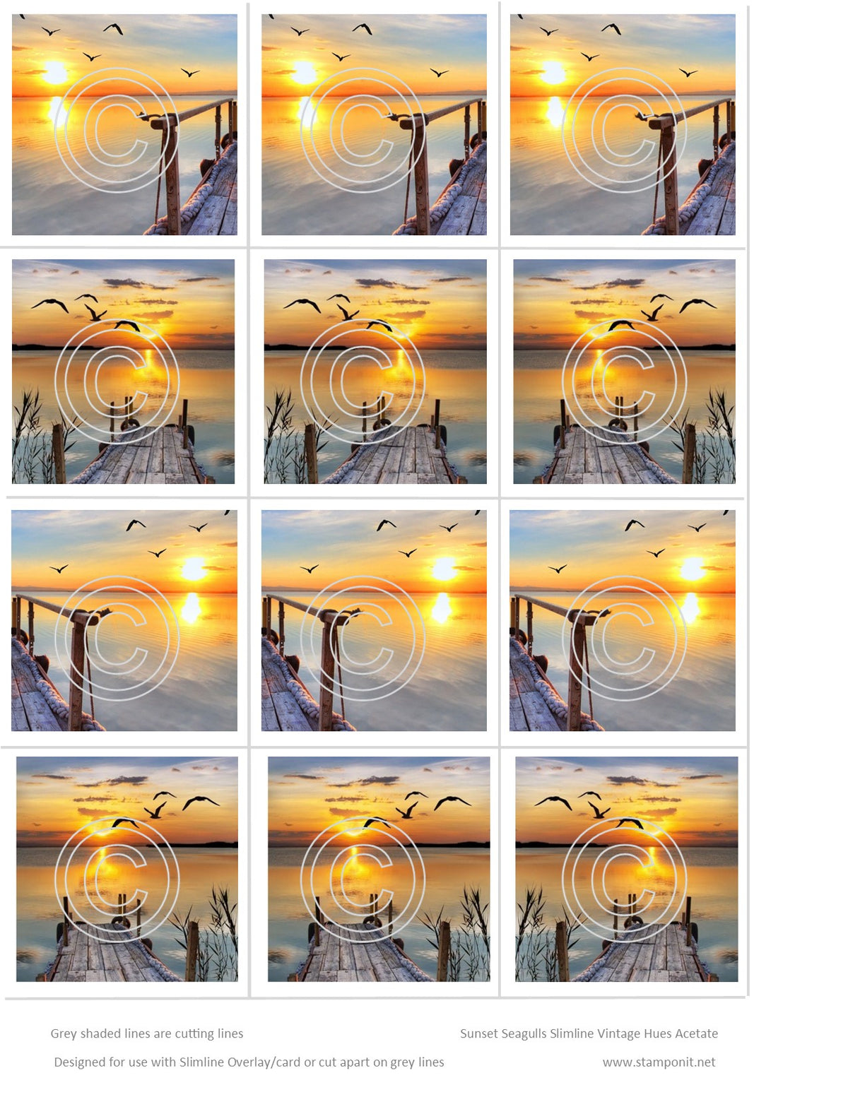 Sunset Seagulls Slimline full sheet Vintage Hue Acetate