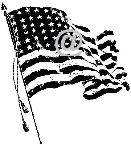 U.S. Flag Art Acetate