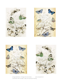 Vintage Butterflies 1, Vintage Hue Acetate