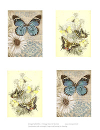 Vintage Butterflies 2, Vintage Hue Acetate