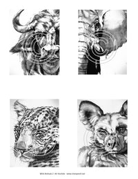 Wild Animals 2 Art Acetate