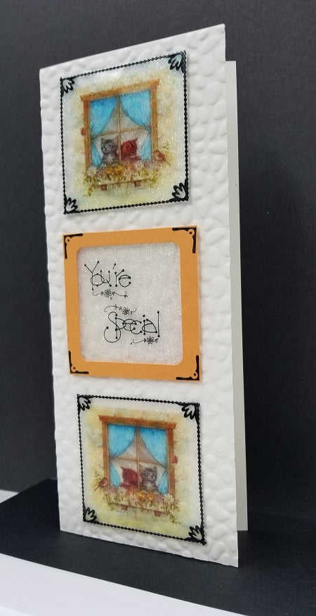 Windowsill Pets 2 Slimline You're Special Vintage Hue Acetate