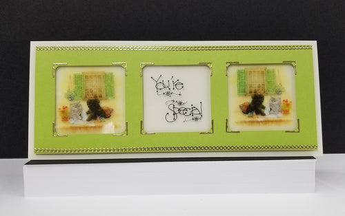 Windowsill Pets 1 Slimline You're Special Vintage Hues Acetate