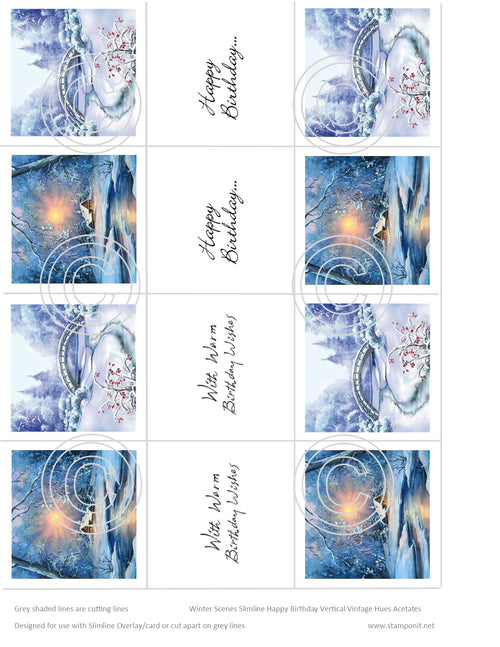 Winter Scenes Birthday Wishes Slimline Vintage Hue Acetate