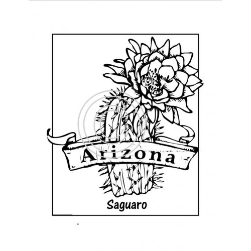 Arizona, State Print Art Acetate