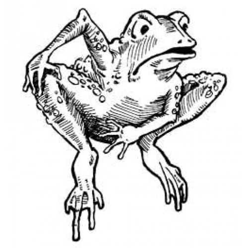 Bullfrog Art Acetate – Paper Crafting with STAMP ON IT