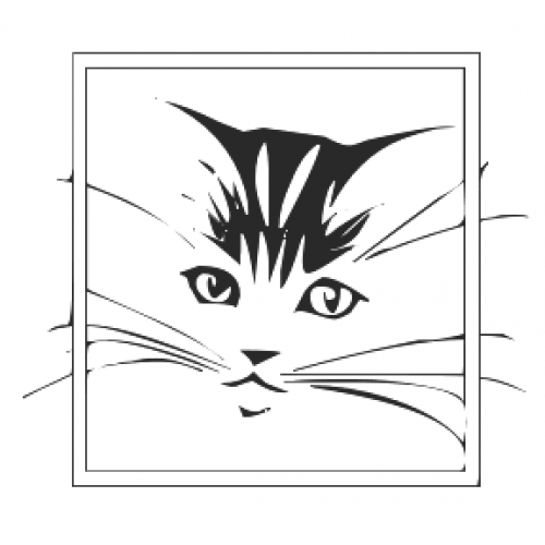 Cat, Framed Art Acetate