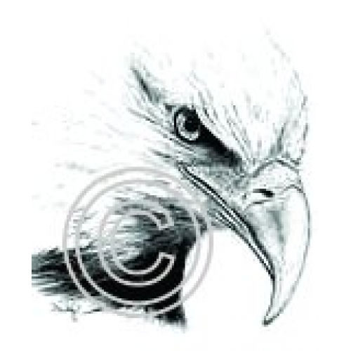 Eagle Head Art Acetate