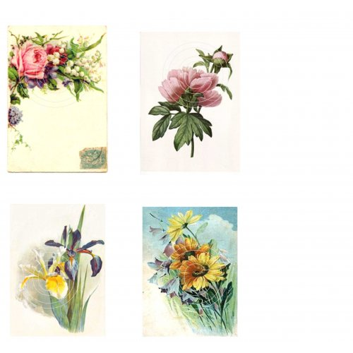 Florals 5, Vintage Hue Acetate