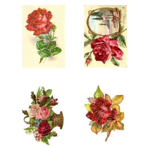 Florals 8, Vintage Hue Acetate
