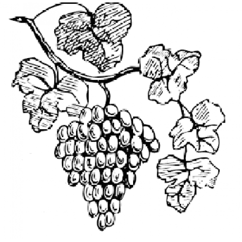 Grape Cluster Art Acetate