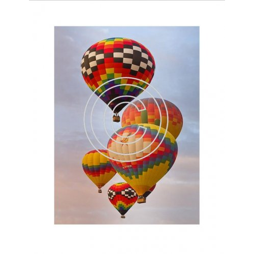 Hot Air Balloons, Vintage Hue Acetate