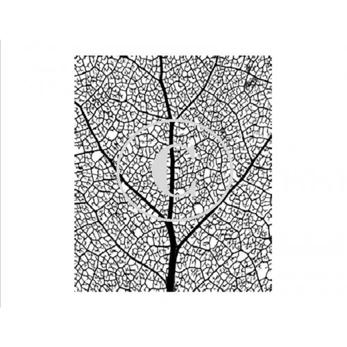 Leaf Veins Background Art Acetate