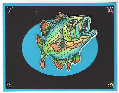 Large Fish Q CD 20304