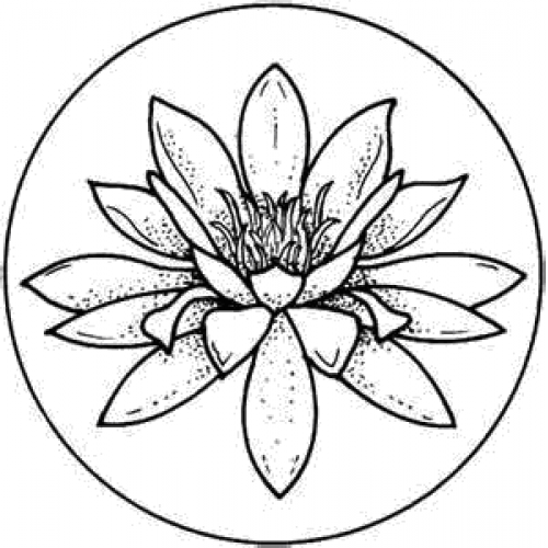Lily Pad Art Acetate – Paper Crafting with STAMP ON IT