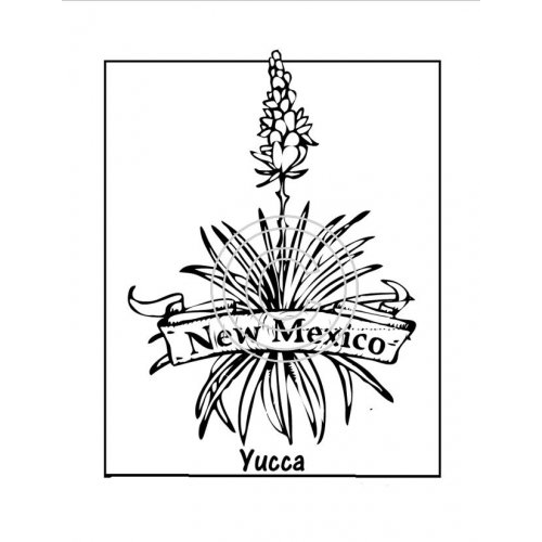 New Mexico Art Acetate State Print
