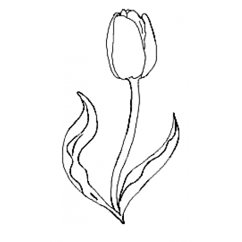 Tulip Art Acetate