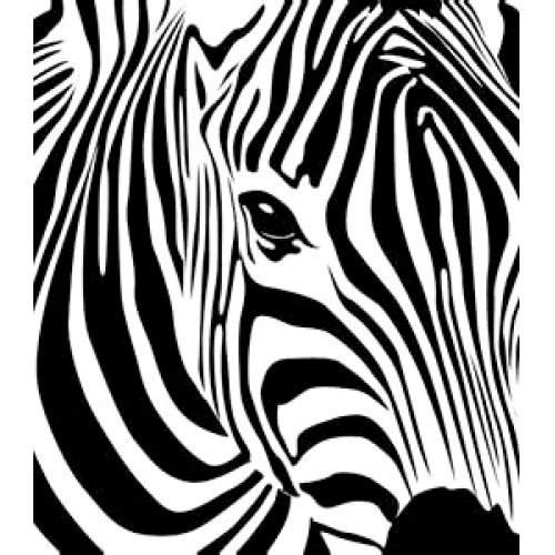 Zebra Art Acetate